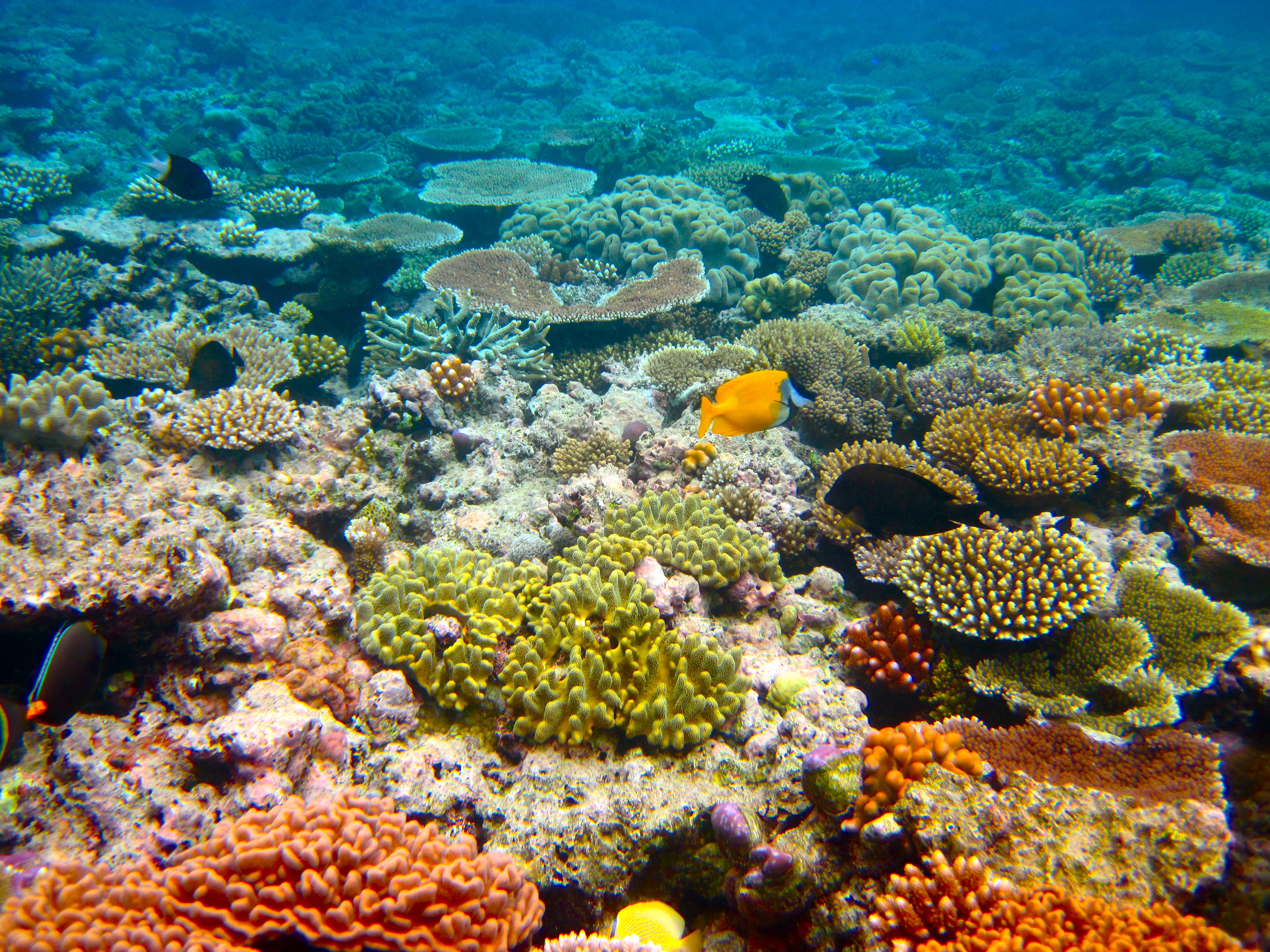 Scuba Diving Paradises in Europe