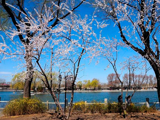 10 things to do in Beijing (Part I)