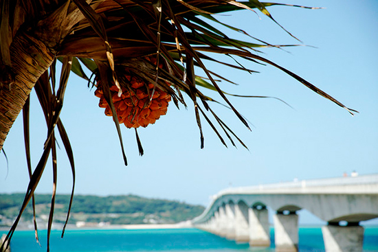Idyllic beaches in Okinawa (Japan)