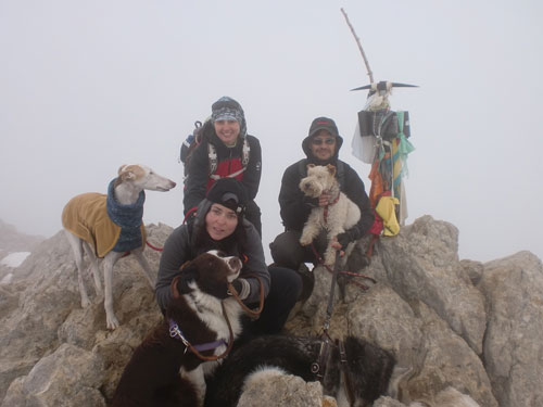 Botes i Potes: Walking Your Dog in Barcelona