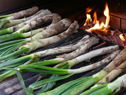 Calçots season in Barcelona Calçots season in Barcelona