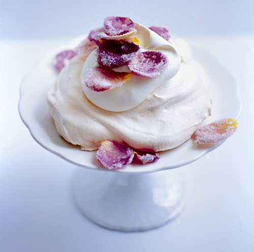 Add Some Scent to your Life Add Some Scent to your Life