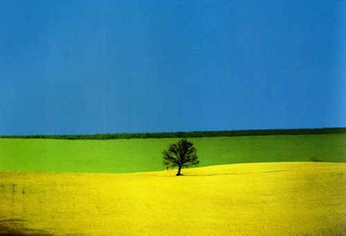 Franco Fontana in Valencia Franco Fontana in Valencia