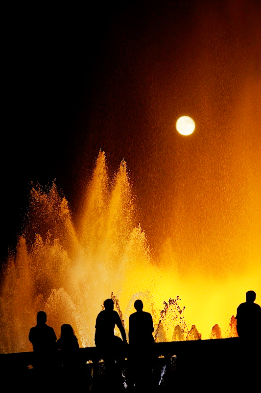 Walking around Montjuïc: museums, gardens and other activities. Walking around Montjuïc: museums, gardens and other activities.