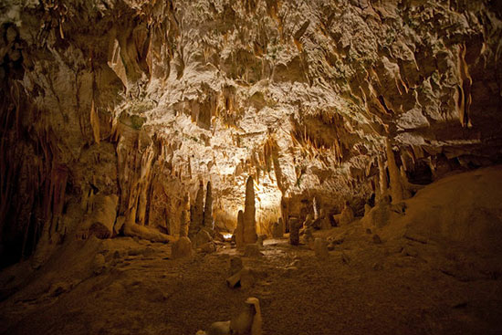 Postojna y Škocjan, natural caves in Ljubljana Postojna y Škocjan, natural caves in Ljubljana