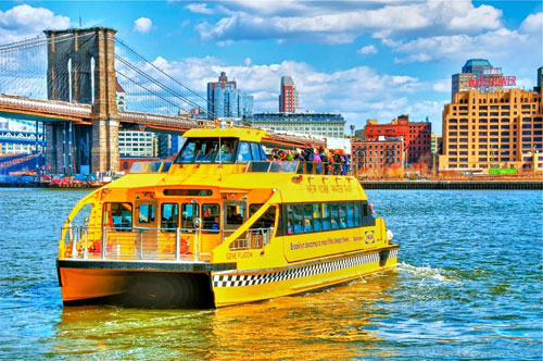 Explore New York from the water