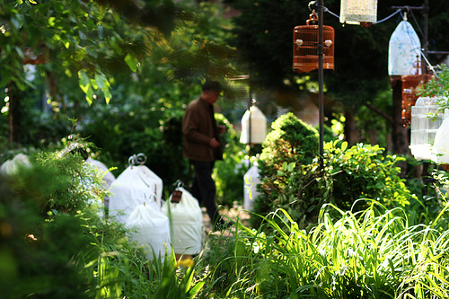 Top 6 New York Secrets