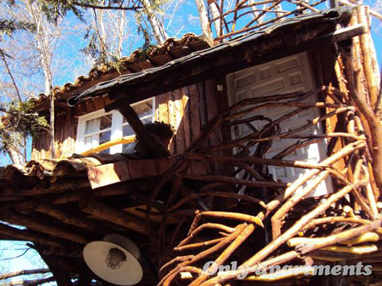 One of a Kind Accommodation One of a Kind Accommodation