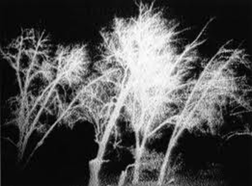 Paradise Lost in Istanbul Paradise Lost in Istanbul