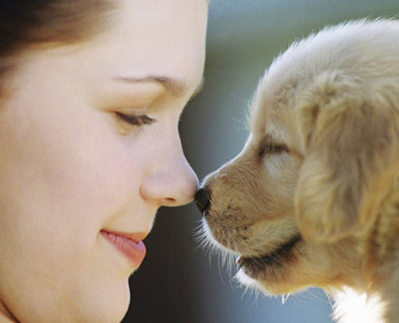 Pamper your pets Pamper your pets