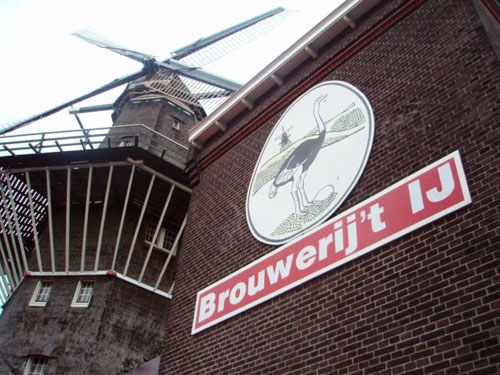 PINT: Beer Festival in Amsterdam