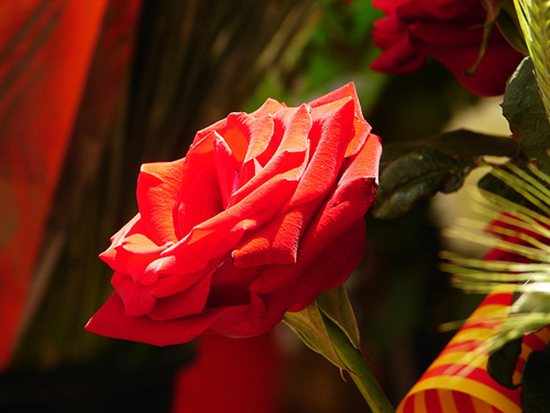 Saint George's Day 2013