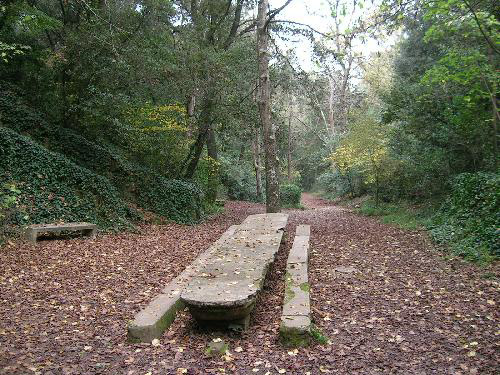 The Labyrinth of the Cerdanyola valley  The Labyrinth of the Cerdanyola valley
