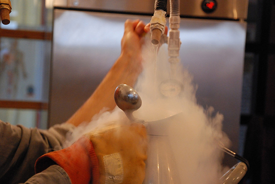 Top 5 Weird Cafés in the world Top 5 Weird Cafés in the world