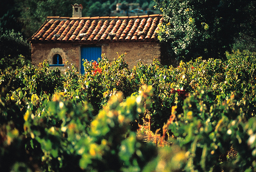 Enotourism: Wine Tastings in Spain Enotourism: Wine Tastings in Spain