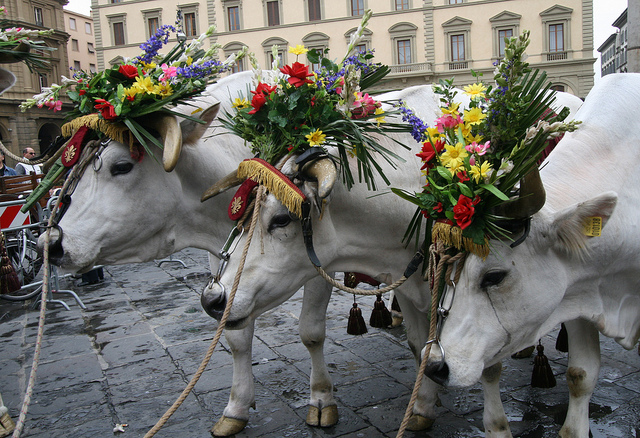 Easter Holidays with the Family: Three Destinations with Three Traditions