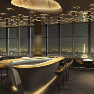 Romantic Dinner at Le Ciel de Paris