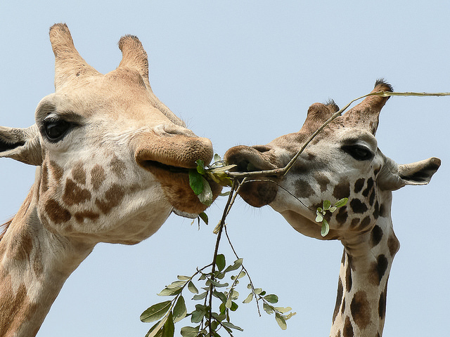 5 Ideal Destinations for Families Traveling with Children