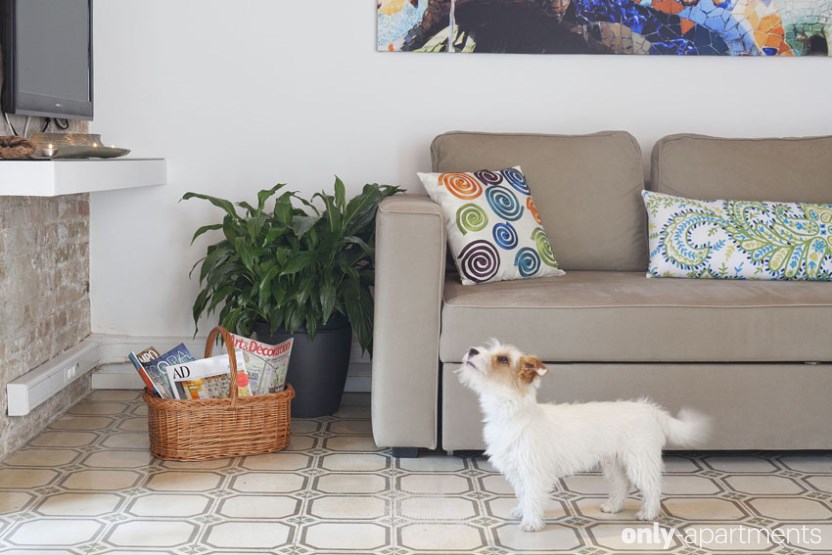 World Animal Day: Apartments for Traveling with Pets World Animal Day: Apartments for Traveling with Pets
