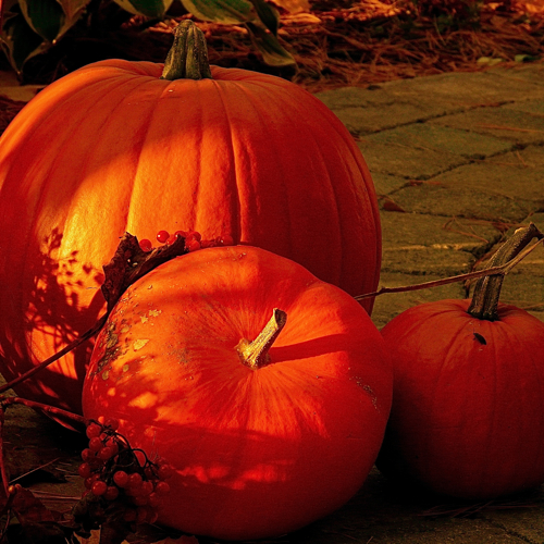 10 Travel Destinations for a Killer Halloween